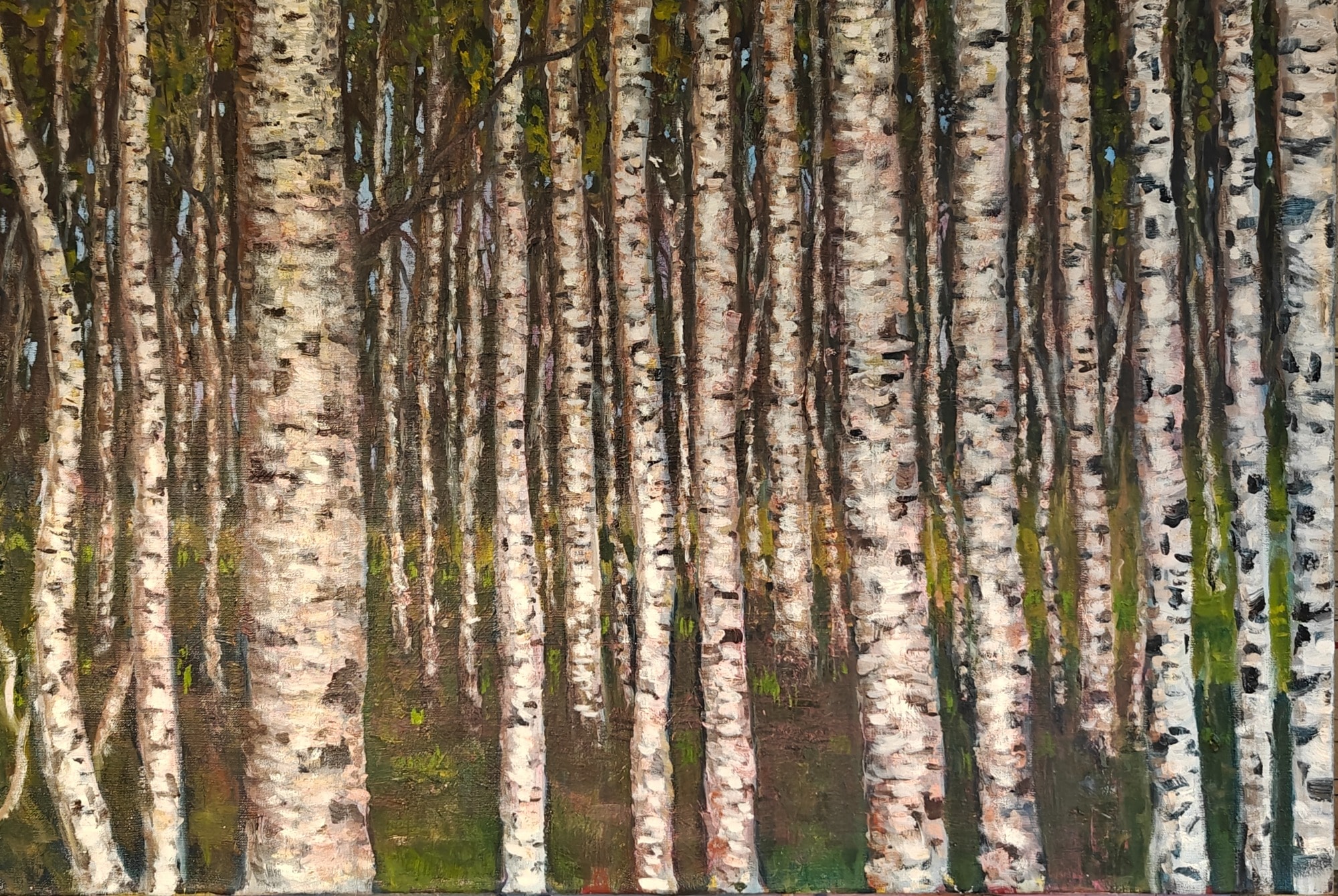 Birches, artwork by Edward Stewart