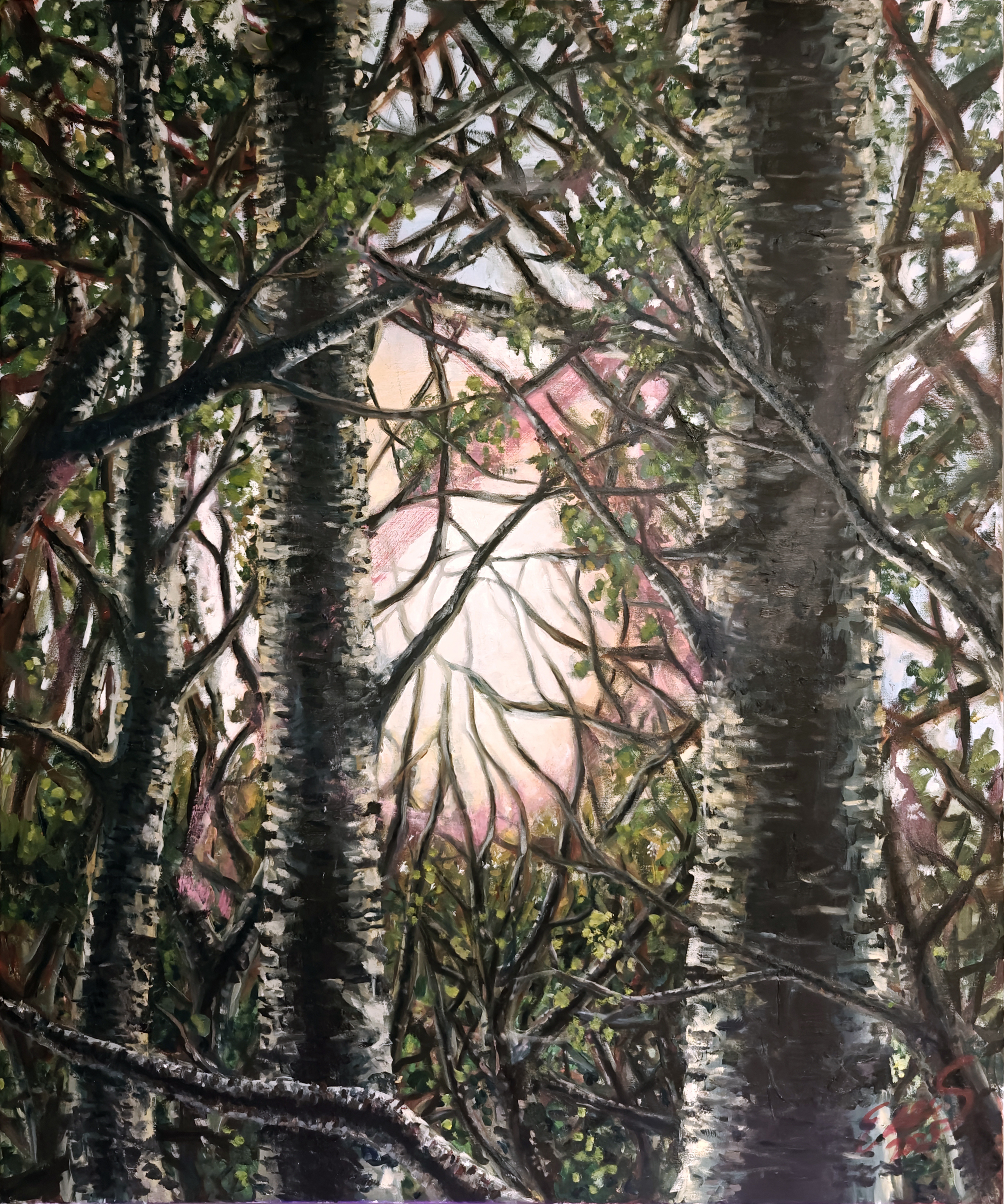 An oil painting of a birch forest at sunset, with pale trunks, dense dark branches, green foliage, and soft pink and golden light appearing between the trees.